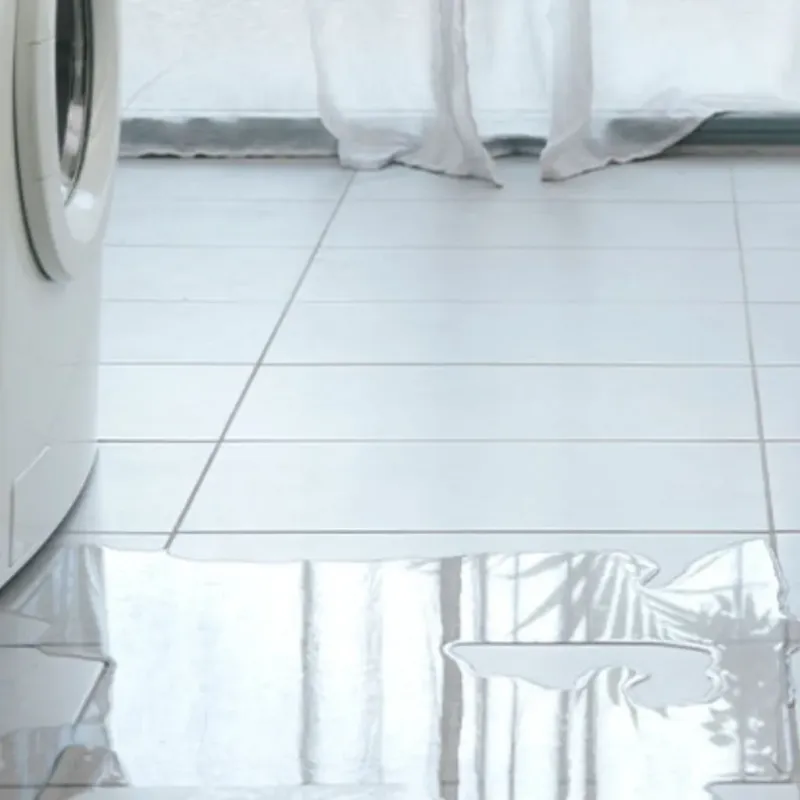 Appliance Leak Cleanup in Scott City, KS