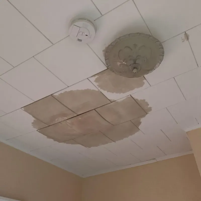 Ceiling Water Damage Repair in Scott City, KS