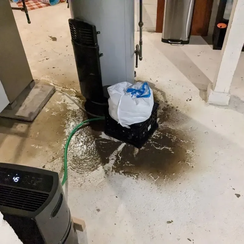 Sewage Backup Cleanup Service in Scott City, KS